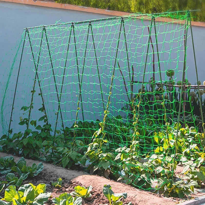 Plant Trellis Pergolas, Heavy-Duty Polyester Grow Net, Garden Trellis Netting With Square Mesh For Climbing Plants, Vegetables,