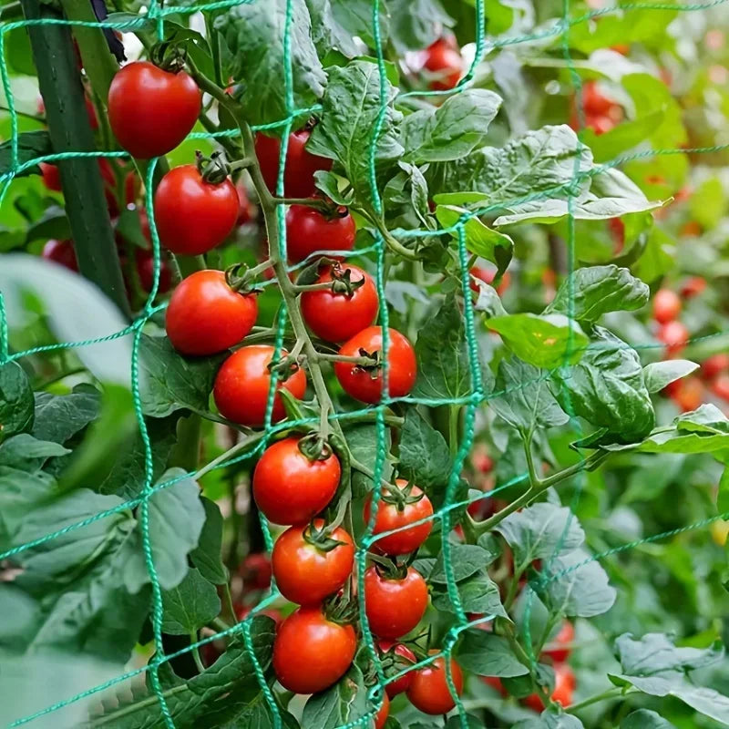 Plant Trellis Pergolas, Heavy-Duty Polyester Grow Net, Garden Trellis Netting With Square Mesh For Climbing Plants, Vegetables,